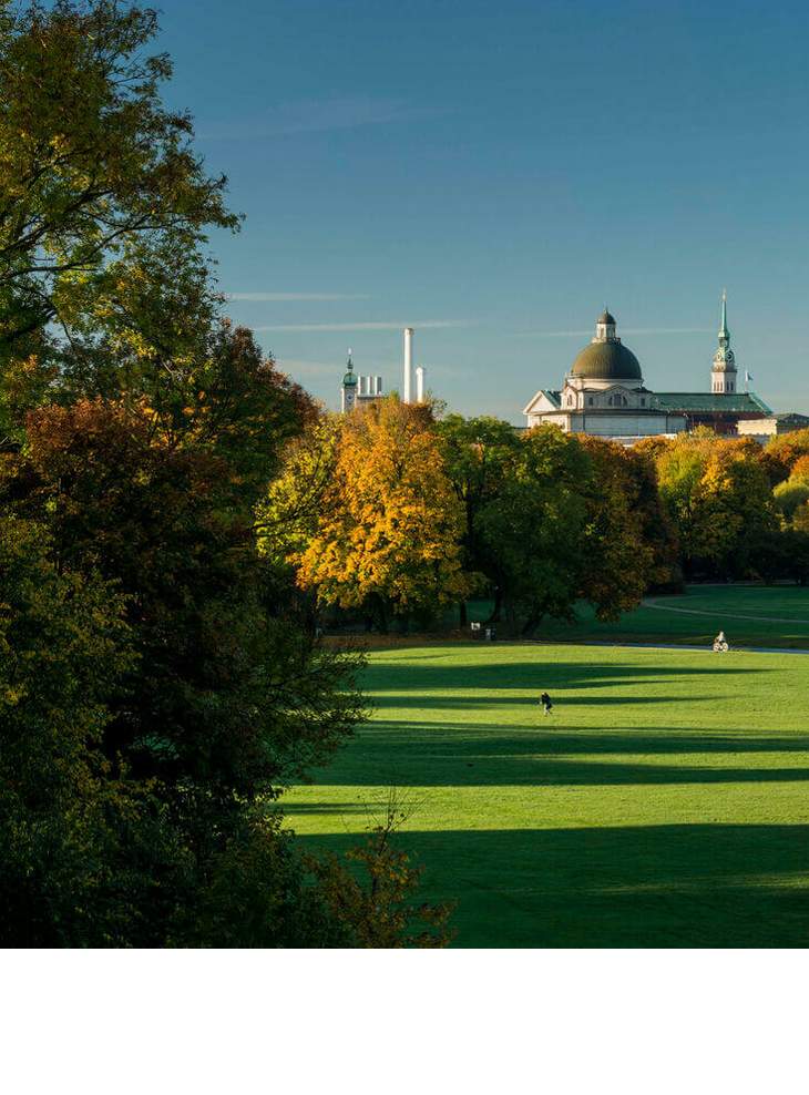 Weitläufiger Park mit grünen Wiesen, bunten Herbstbäumen und einer Stadtsilhouette im Hintergrund unter klarem Himmel.
