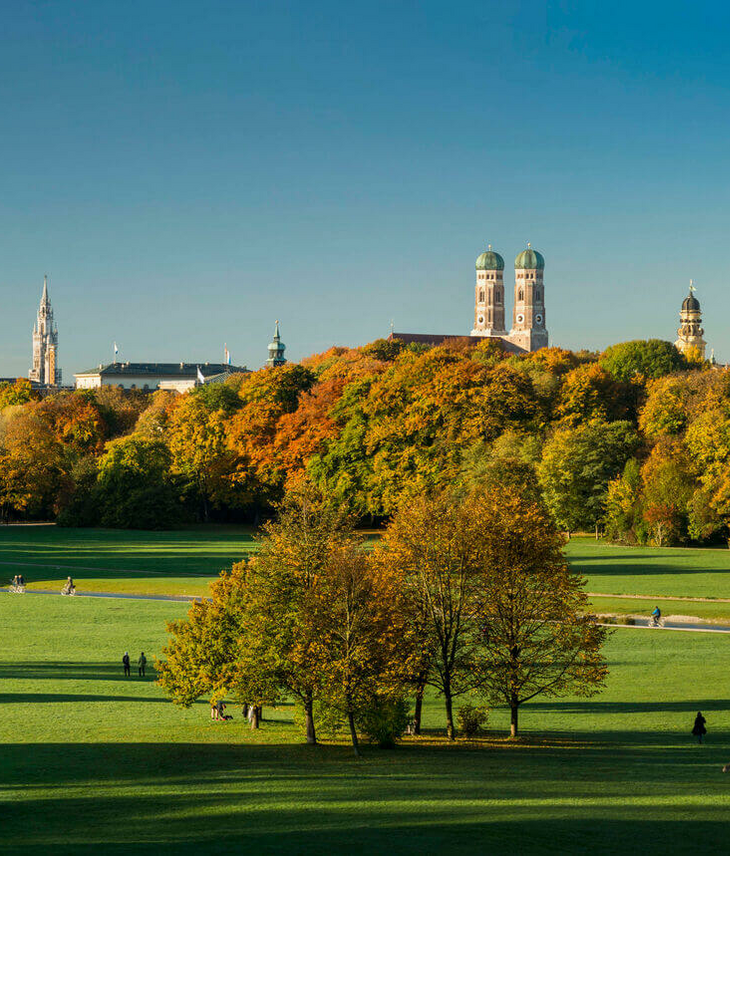 Spacious park with green meadows, colorful autumn trees and a city silhouette in the background under a clear sky.