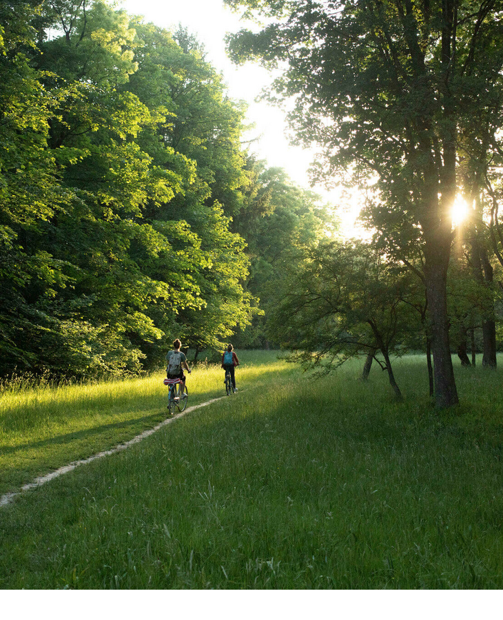 Two cyclists on a forest path at sunset, surrounded by lush green trees.