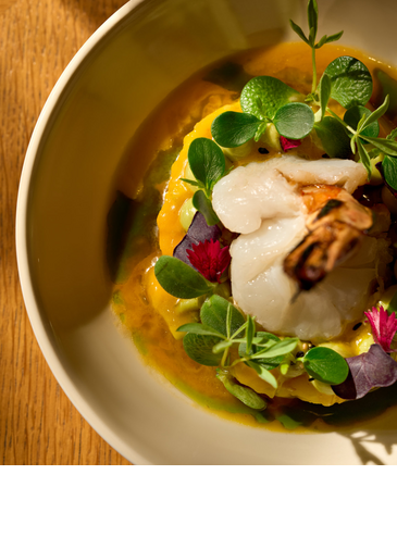 Fish on a bed of salad and pumpkin purée at the Grillroom restaurant.